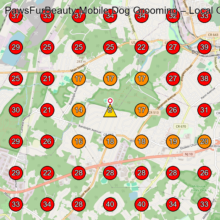 PawsFurBeauty Mobile Dog Grooming GeoGrid visibility map for Pet Groomer in Rockaway